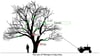 Vibrope Walnut, Pecan, Olive, Plum, Almond, Chestnut, Apricot, Mulberry Cherry and Apple Tree Harvester (Worldwide Free Shipping with DHL Express)
