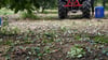 Walnut And Almund Harvester