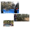 (World Wide Free Shipping with DHL Express)