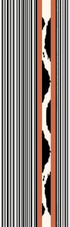 RUNNER