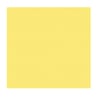 60 mm Kutu Kesim Dikdörtgen Compact Laminat Masa Tablası