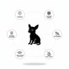 Black Chihuahua Dokuma Taban Halı 432 YNGMarkaev