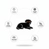 Black Dog Dokuma Taban Halı 431 YNGMarkaev