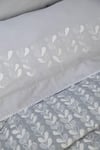 Apricitas Timeless Prime Set Daphne Çift Kişilik Adaçayı - AP99T20212316