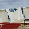 Evdek Plaj & Banyo Havlusu Ds33