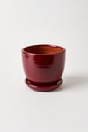 Evdek Tabaklı Bordo Çömlek Saksı 19x19 Cm