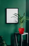 Evdek Tabaklı Klasik Kırmızı Çömlek Saksı 19x19 Cm