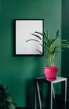 Evdek Tabaklı Klasik Koyu Pembe Çömlek Saksı 22x22 Cm