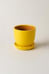 Evdek Tabaklı Sarı Çömlek Saksı 19x19 Cm