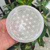 Selenit Kase Yaşam Çiçeği 10cm
