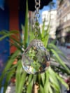 Sun Catcher (Güneş Yakalayıcı)