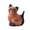 TİK AĞACI TOMBUL KEDİ