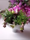 easter kase 22 cm