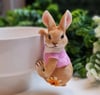 hanging rabbit 2 li