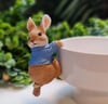 hanging rabbit 2 li