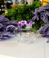 lilac demlik