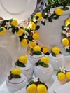 limon kavanoz