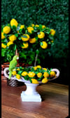 Limonlu kase 36 cm