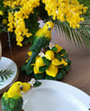 LİMONLU PAPAĞAN DECOR