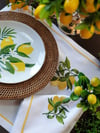 limonlu tabak