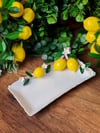 limonlu tabak 25*14 cm