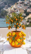 limonlu turuncu saksı 22 cm