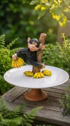 monkey tabak