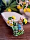 Rabbit Garden kayık salata kase