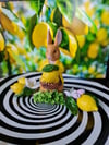 Rabbit limonlu lollipop tabak