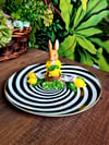 Rabbit limonlu lollipop tabak