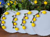 SERVİS 29 CM