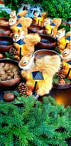 squirrel cevizlik