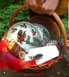 squirrel tabak 23 cm