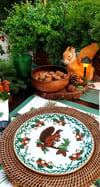squirrel tabak 23 cm