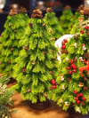 x'mas tree peri ledli 50 cm