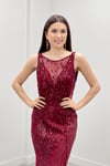 Sequin Fabric Tulle Detailed Skirt Dress - Claret Red