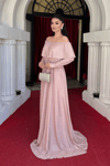 Silvery Evening Dress on Tulle - Powder