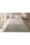 NEV.TK RF KING CANDIDUM - STD