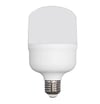 Hightek 30 Watt LEd Ampul
