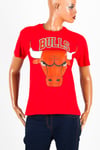 Amerika Birleşik DevletleriDünyadan HediyelerLGNDABD04-W01LegendChicago Bulls Bayan Tişört Kırmızı