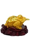 ÇinDünyadan HediyelerDNY-HD100524Keskin Hediyelik Eşya Ve TekstilFeng Shui Şans Parası ve Altın Kurbağa Biblo Reçine 14cm