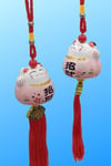 ÇinDünyadan HediyelerDNY-HD101471Keskin Hediyelik Eşya Ve TekstilFeng Shui Maneki Neko Şans Kedisi Pembe No.2