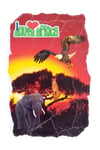 Güney Afrika CumhuriyetiDünyadan HediyelerDNY-HD101171Keskin Hediyelik Eşya Ve TekstilGüney Afrika Temalı Fresco Magnet
