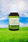 HindistanHEM4MNK-SP-04Keskin Hediyelik Eşya Ve TekstilTaze Çimen Aromalı Lüks Buhurdanlık Yağı Fresh Grass 10 ml