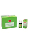 HindistanHEM4MNK-SP-04Keskin Hediyelik Eşya Ve TekstilTaze Çimen Aromalı Lüks Buhurdanlık Yağı Fresh Grass 10 ml