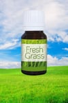 HindistanHEM4MNK-SP-04Keskin Hediyelik Eşya Ve TekstilTaze Çimen Aromalı Lüks Buhurdanlık Yağı Fresh Grass 10 ml