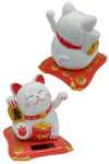 JaponyaDünyadan HediyelerDNY-HDOANRMZN02Keskin Hediyelik Eşya Ve TekstilManeki Neko El Sallayan Şans Kedisi Beyaz Solar Güneş Enerjili 7.5 cm