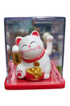 JaponyaDünyadan HediyelerDNY-HDY4527Y5BYZ05Keskin Hediyelik Eşya Ve TekstilManeki Neko El Sallayan Mini Şans Kedisi Beyaz Solar Güneş Enerjili 5x5cm Y5BYZ05