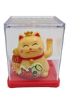 JaponyaDünyadan HediyelerDNY-HDYDGNF11KRM11Keskin Hediyelik Eşya Ve TekstilManeki Neko El Sallayan Mini Şans Kedisi Krem Solar Güneş Enerjili 5x5cm F11KRM11