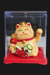 JaponyaDünyadan HediyelerDNY-HDYDGNF11KRM11Keskin Hediyelik Eşya Ve TekstilManeki Neko El Sallayan Mini Şans Kedisi Krem Solar Güneş Enerjili 5x5cm F11KRM11